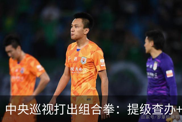 中央巡视打出组合拳：提级查办+深挖保护伞，查到线索再也瞒不住